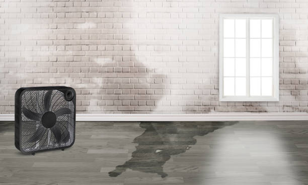 24/7 water damage repair in Yaphank, NY
