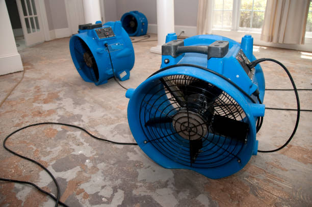 Best Fire Damage Restoration  in Yaphank, NY