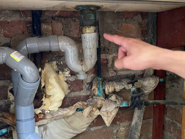 Best Flood damage cleanup  in Yaphank, NY