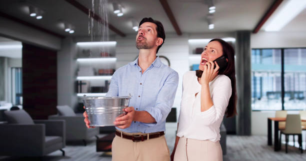 Best Mold removal after water damage  in Yaphank, NY