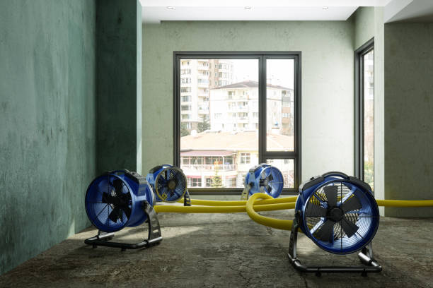 Professional Water damage restoration in Yaphank, NY